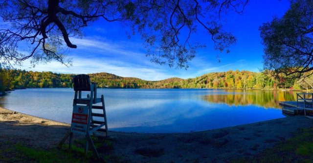 dc9688e6-e5eb-4815-97e1-a0fd6db60751